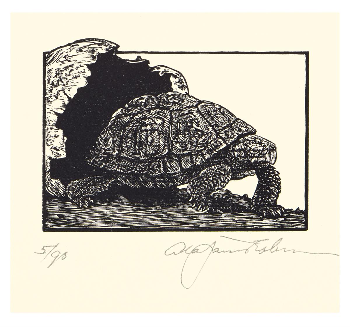 (CHELONIIDAE PRESS.) Lawrence, D.H. Tortoises: Six Poems.